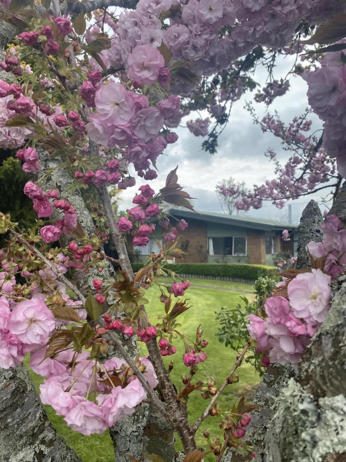 Roselake Retreat Rotorua Buitenkant foto